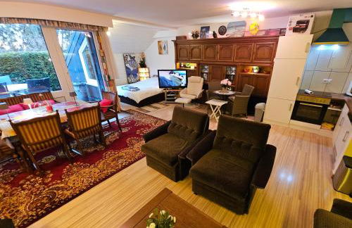 Winterberg Appartement 6 Pers aan Skilift grootste Skigebied nabij Bikepark Unieke locatie met zeer rustige tuin in het bos en het gezellige centrum leuke cafes restaurants en gratis zwembad sauna relax speelruimte parkeerplaats naast Der Brabander - Foto 20