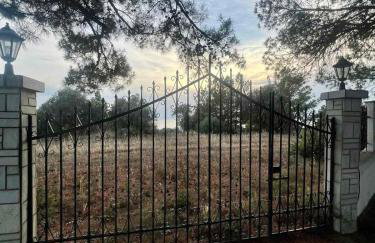 Costa Mama VIlla - Photo 36