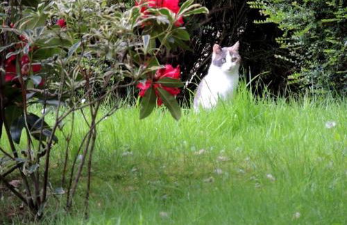 Gîte Les 3 Voiles - Foto 39