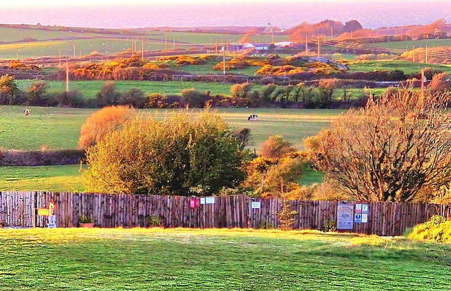 Swift Vogue Edition Caravan - Photo 26