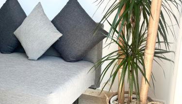 Almar II - Padrón - Foto 4