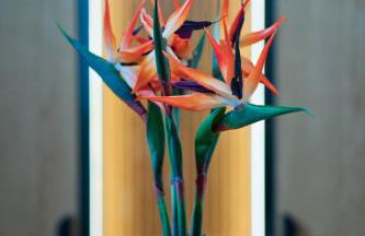 Capital Luxury Suites - Foto 49