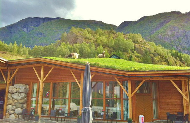 AMAZING HARDANGER FJORD: Private guided round trip from Bergen, 10 hours - Photo 41