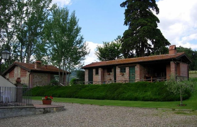 Fattoria di Belvedere - Photo 49