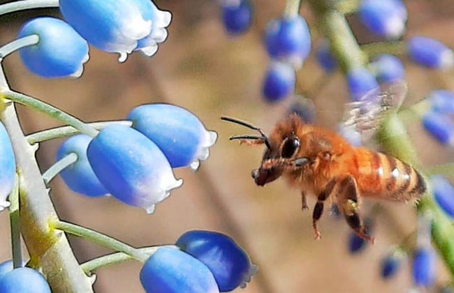 5 Person Holiday Home in Hallekis - Photo 28