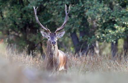 Casa da Portela - Foto 5