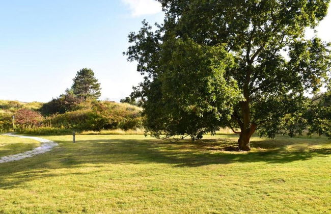 Cottage in Nes-ameland Near Coastline - Foto 30