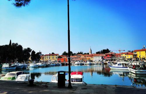 7 PALMI Novigrad - Foto 17