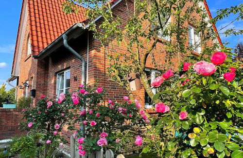 Miller Kunterbunt - Foto 11