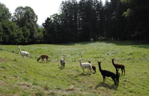 FeWo "AlpakaZeit" im ökologischen Holzhaus mit traumhafter Aussicht und Alpakas - Foto 24