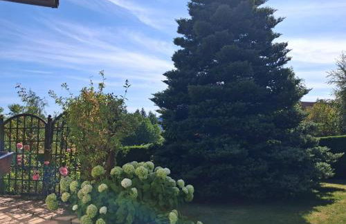 Ferienwohnung Fichtelwald - Foto 57