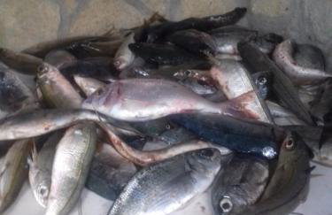 Apartments Jug - Foto 58