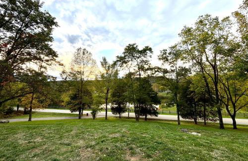 Bluegrass Resort - Nature rich escape, Between the Creation & ARK, Fully equipped kitchen, Pet friendly, Fire pit - Foto 33