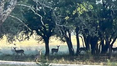 Dome Sweet Dome - Foto 5