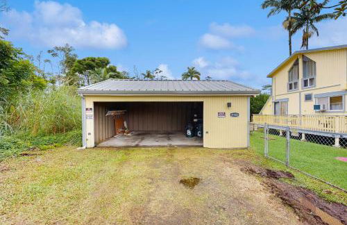 Sea Turtle Life - Photo 50