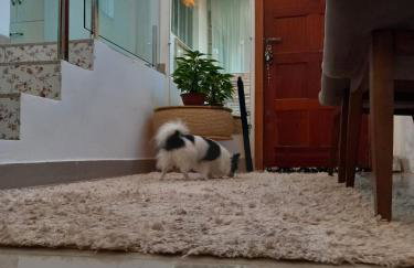 Casa térrea lindamente decorada e climatizada - Foto 10