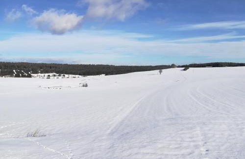Ferienwohnung Hasenfratz - Foto 32