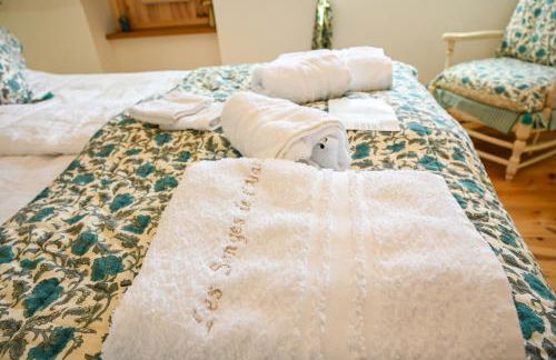 Dreams of Alaric Maison de charme avec piscine aux pieds des Pyrénées Ideal base cyclists exploring legendary climbs - Foto 44