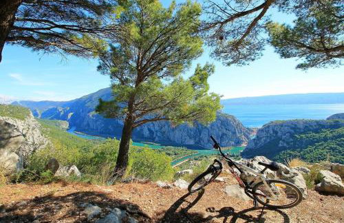 Villa Delmati - Foto 48