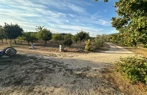 SouthCorner - Le Coin du Sud - Foto 14