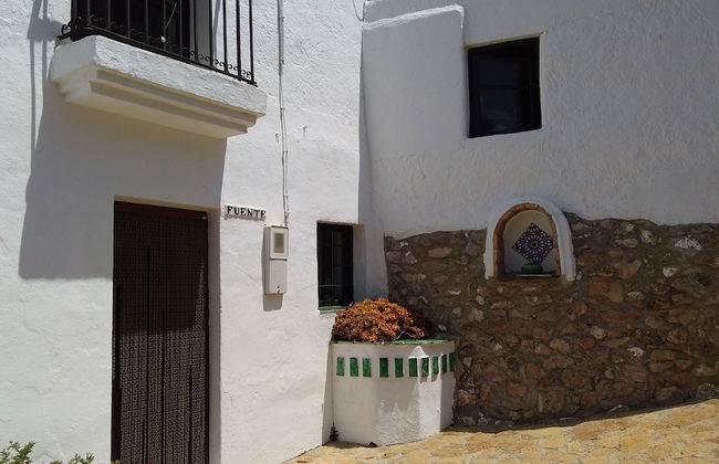 Cortijos Manzano - Photo 15