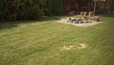 Malowniczy domek w Białowieży - Foto 2, Garden