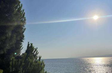 La casa de verano - Foto 62