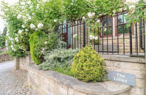 The Lillies - Foto 30