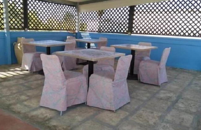 Gecko's House - Foto 21