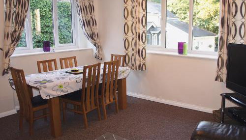 Kingfisher - 30788 - Foto 3