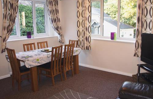 Kingfisher - 30788 - Foto 3