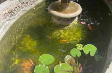 Villa Modernista - Foto 36