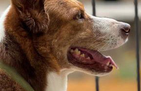 L'Orto di MiLa - Foto 28