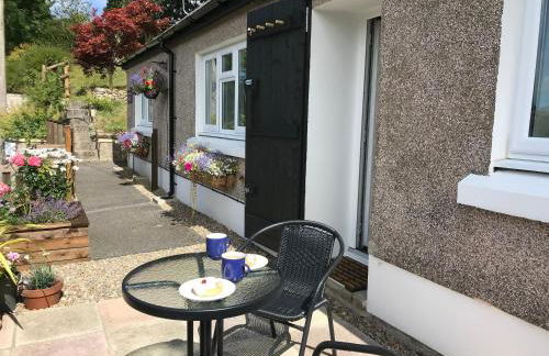 Tanyfron Llangrannog - Photo 17