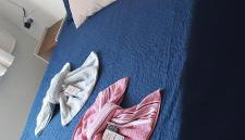 Apê Aconchegante 1 - Foto 4