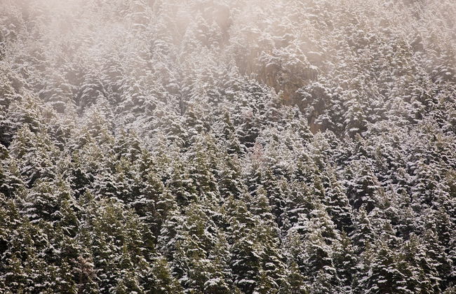 The Lodge at Ribasol - Foto 25