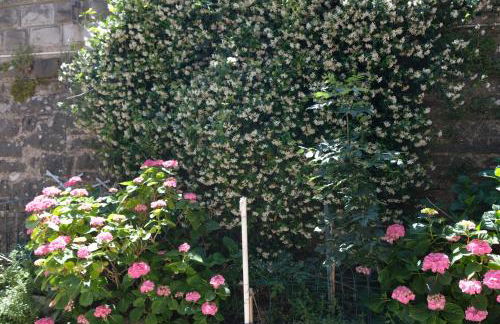 Appennino Via Roma 66 - Photo 6