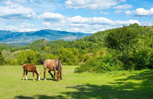 Villa Bellavista Large Private Pool WiFi - Foto 46