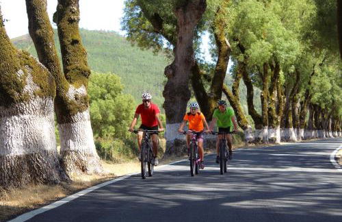 Casinha da Póvoa - Turismo de Aldeia - Foto 26