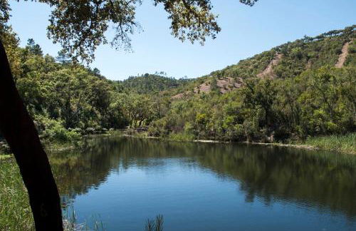 Herdade das Barradas da Serra - Foto 53