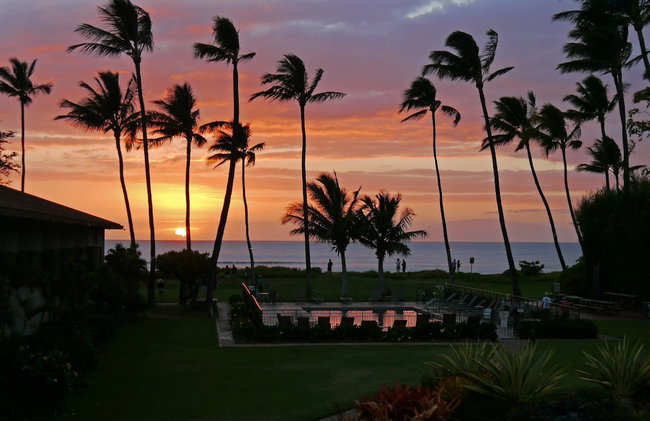 Beautiful 1 Bedroom Condo with Ocean Views | Oceanfront - Foto 101