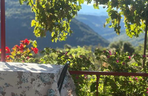 Georgaras Accommodation - Foto 1