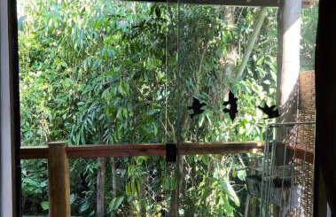 Chalé Suítes Casa na Praia de Itamambuca - Foto 78