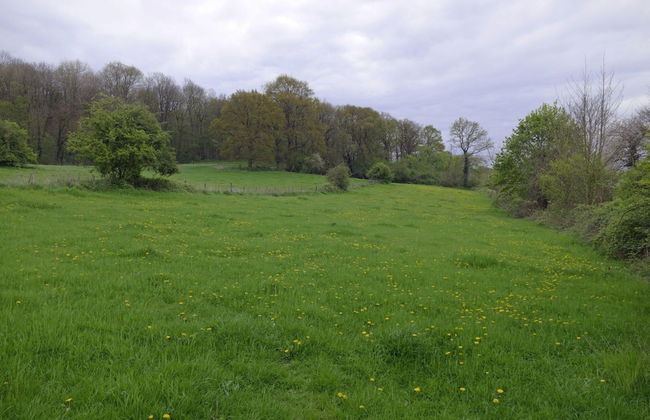 Spacious Villa near Town Center in Mesch - Photo 73