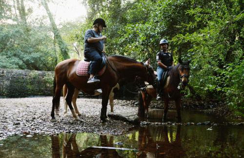 Apartamento Equitare Rural na Serra de Lousã - Foto 20