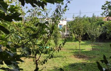 Garden house - Photo 75