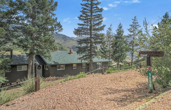 3BD Cowboy Cabin Pikes Peak Mountain Log Cabin - Photo 48