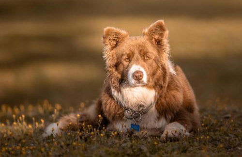 Agriturismo La Fonte - Photo 20