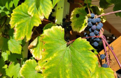 Klimaty- apartamenty nad rzeką - Foto 31