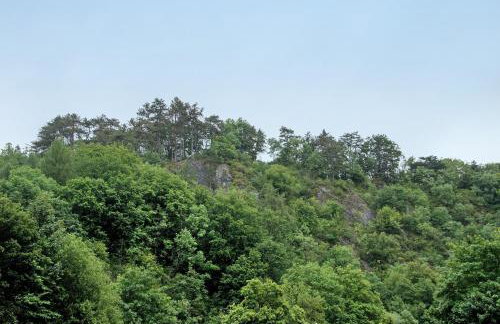 Altes Höhlenführerhaus - Foto 22